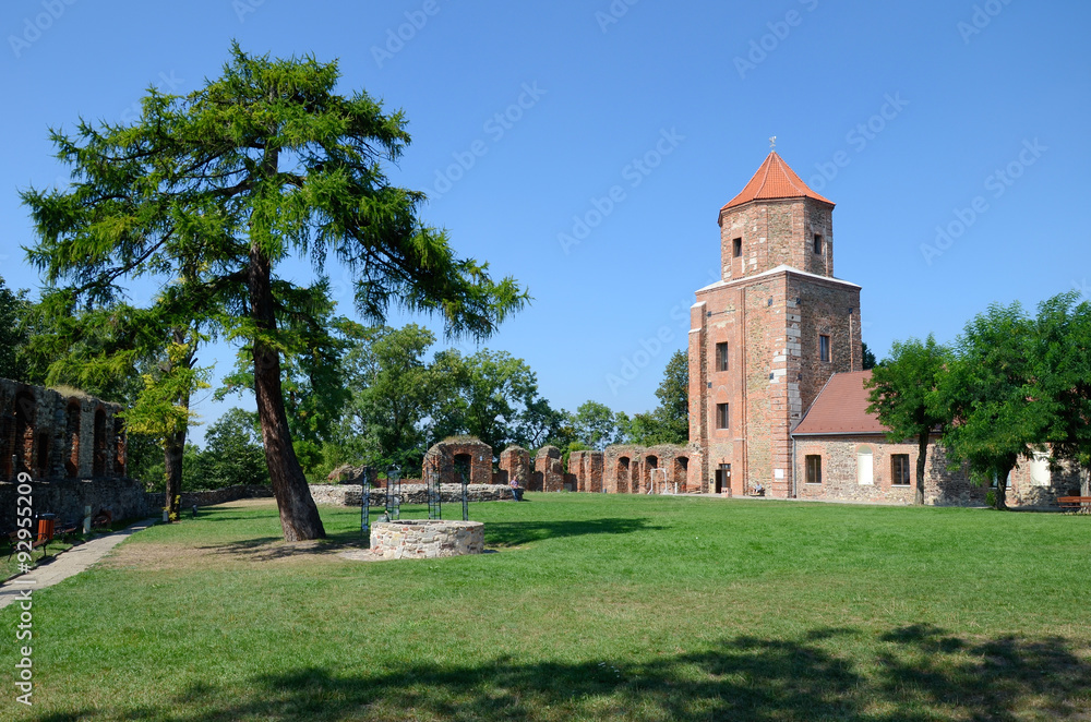 Castle Toszek in Poland