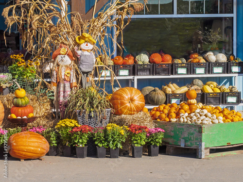 Thanksgiving produce display
