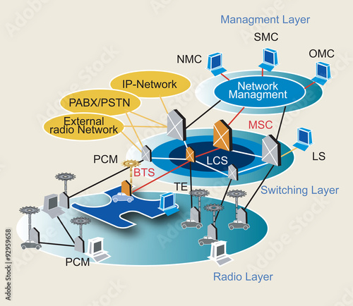 Network management scheme. Vector