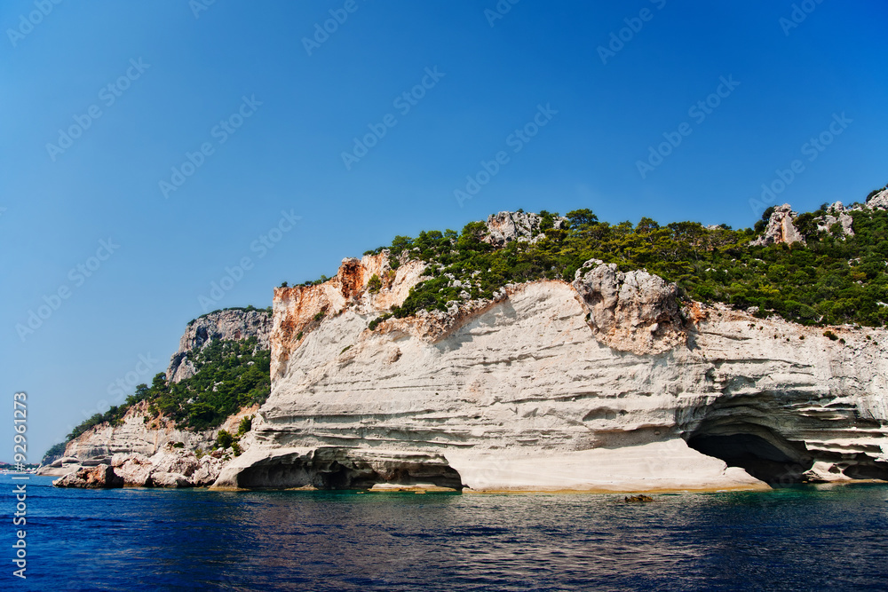 Coastline with rocks and forest