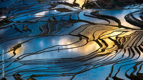 Aerial view of terraced rice fields, Yuannan, China #92961246