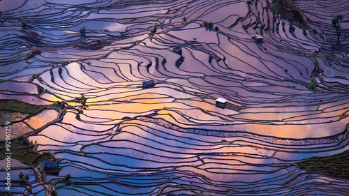 Aerial view of Terraced rice fields, Yuanyang, China #92961259