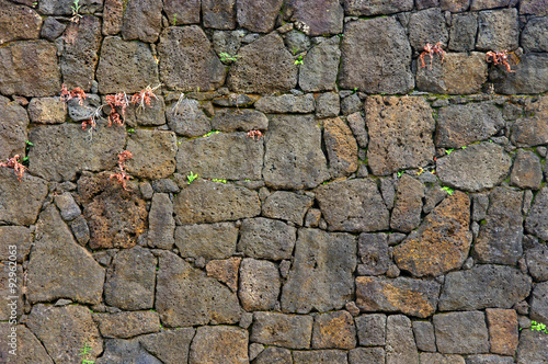 Mur de pierres volcaniques
