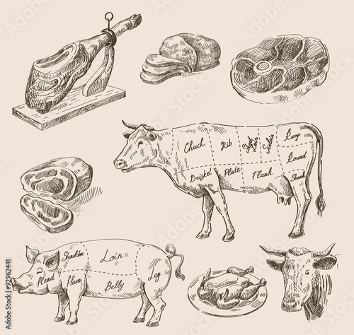 hand drawn food sketch