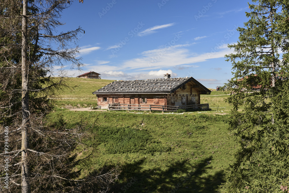 Fototapeta premium Herbst im Almgebiet von Lofer