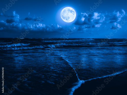 Canvas Print Beach at midnight with a full moon