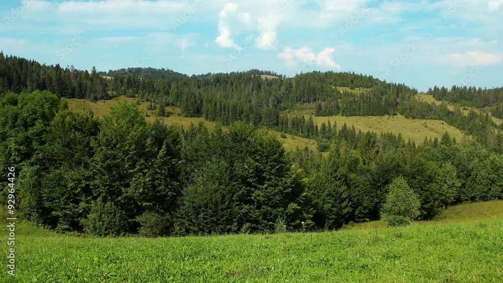 4K Timelapse of clouds and beautiful green mountains with coniferous trees 4K Timelapse of clouds and beautiful green mountains with coniferous trees