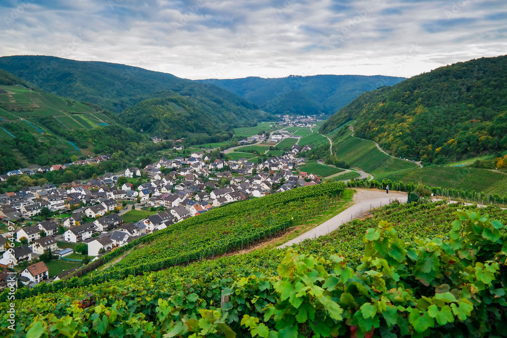 View over the Village of Mayschoss in Ahr Valley,Germany