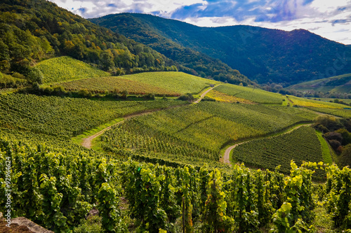 View over the Village of Mayschoss in Ahr Valley,Germany