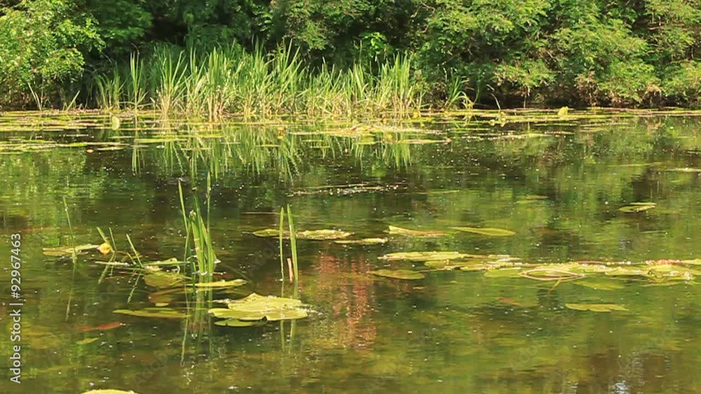 Backwater Backwater