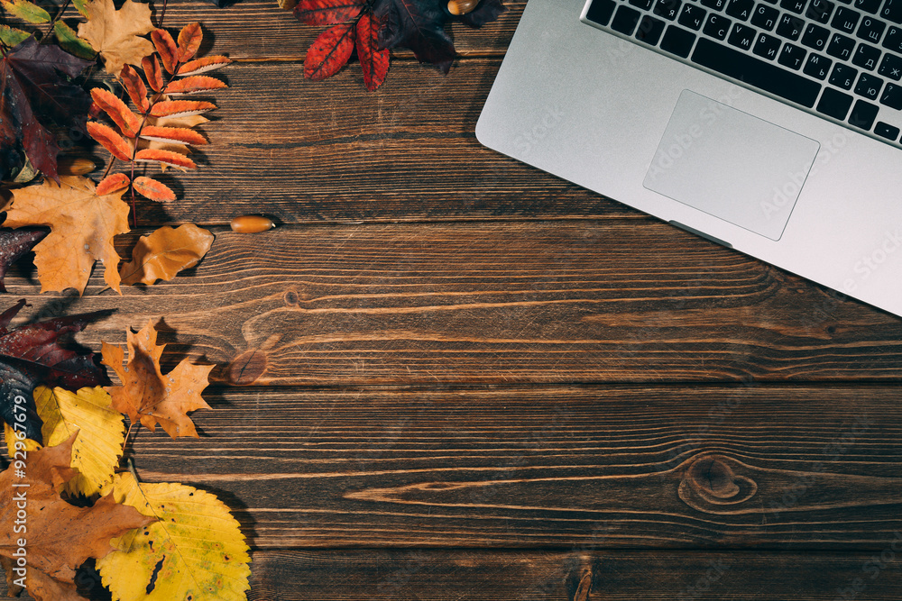 Fototapeta premium Background with laptop and autumnal leaves