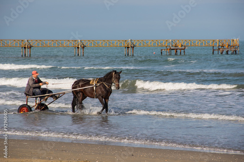 Cavallo al trotto in spiaggia