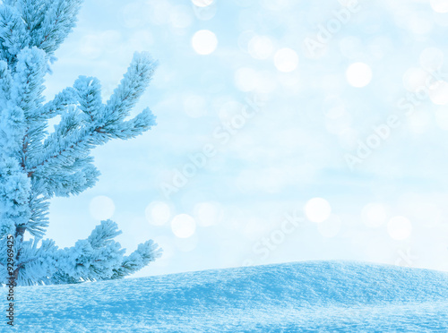 Winter bright  background with  snow-covered pine tree © Leonid Ikan
