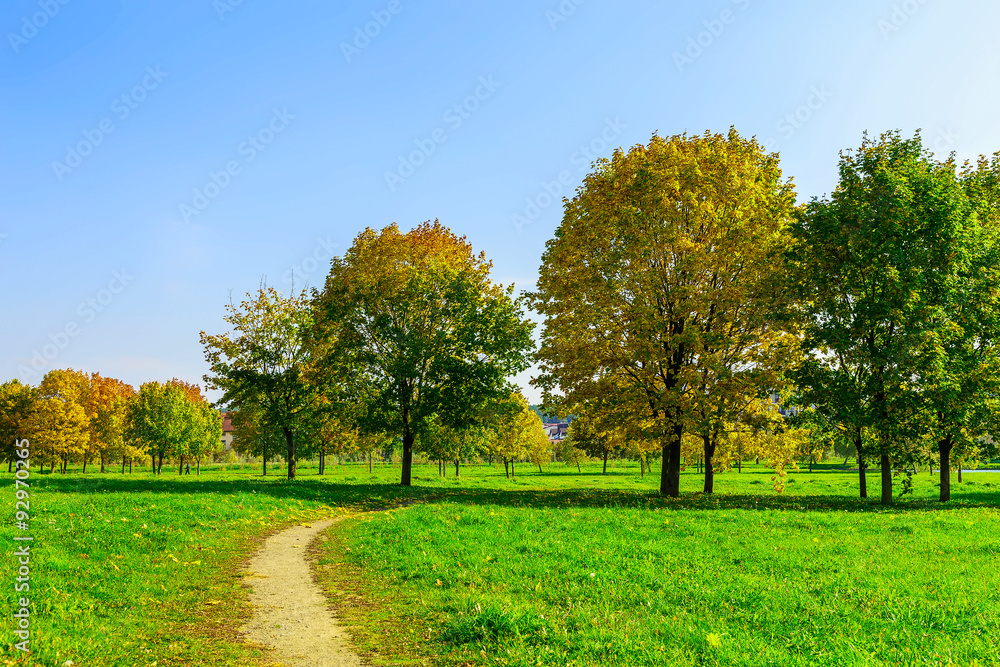 Autumn Nature with Footpath and Trees on Field