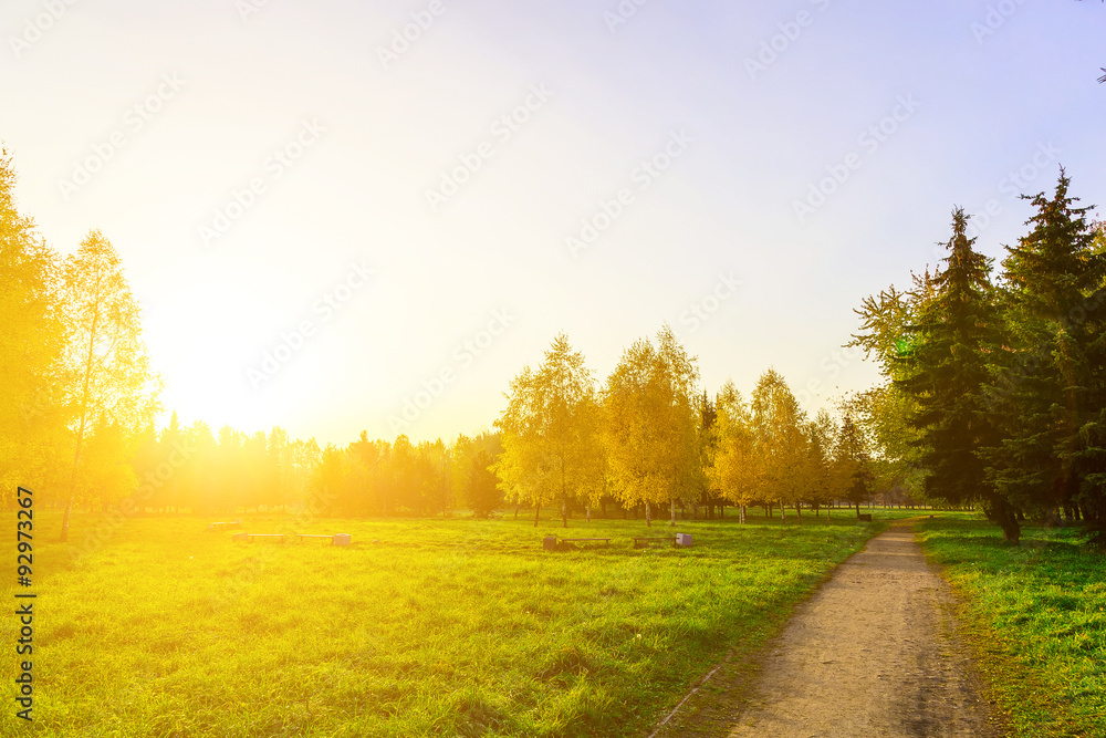Naklejka premium Autumn Park with Pathway