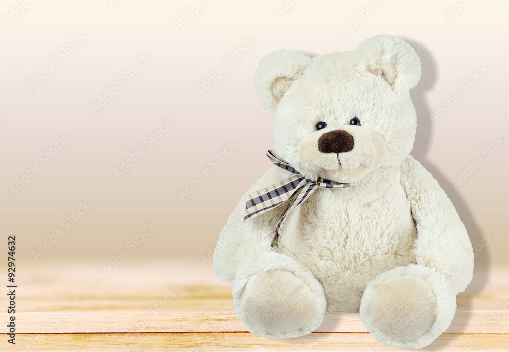 Obraz premium Teddy Bear.