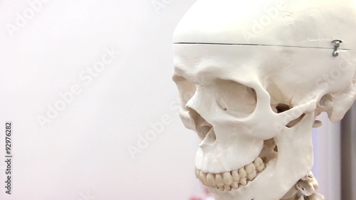 White medical skull photo