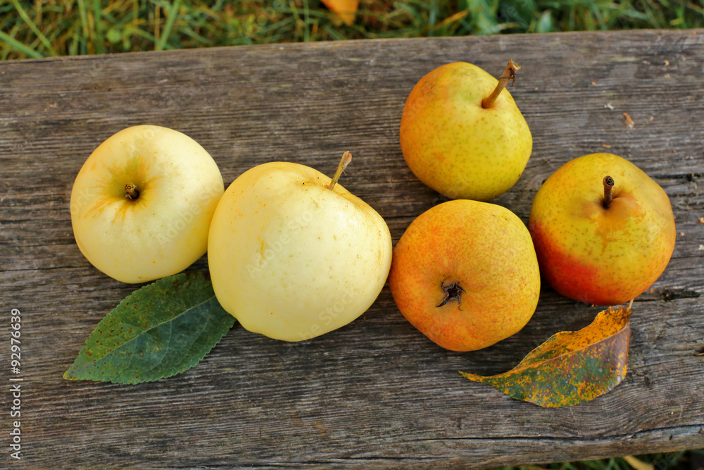 Apples, pears on wooden background Apples, pears on wooden background