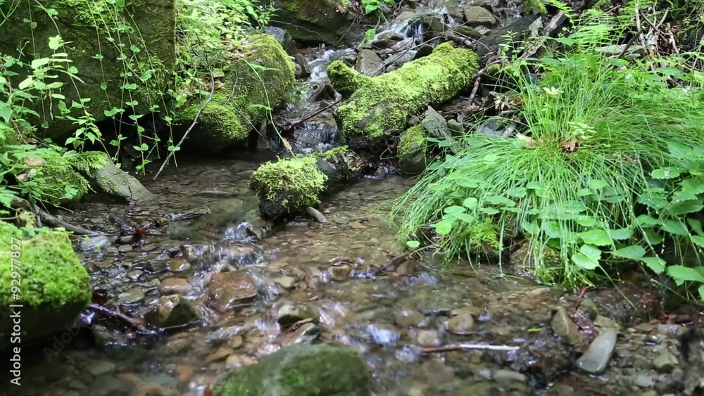 Beautiful small brook Beautiful small brook