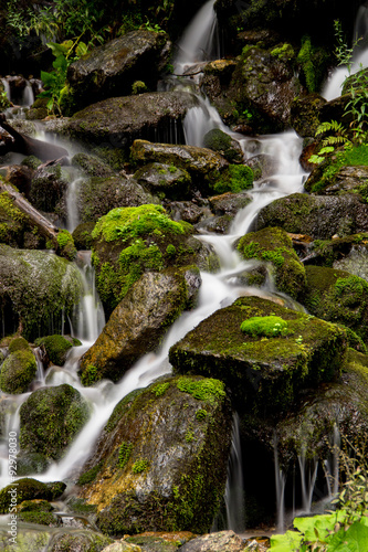 Mountain stream spring