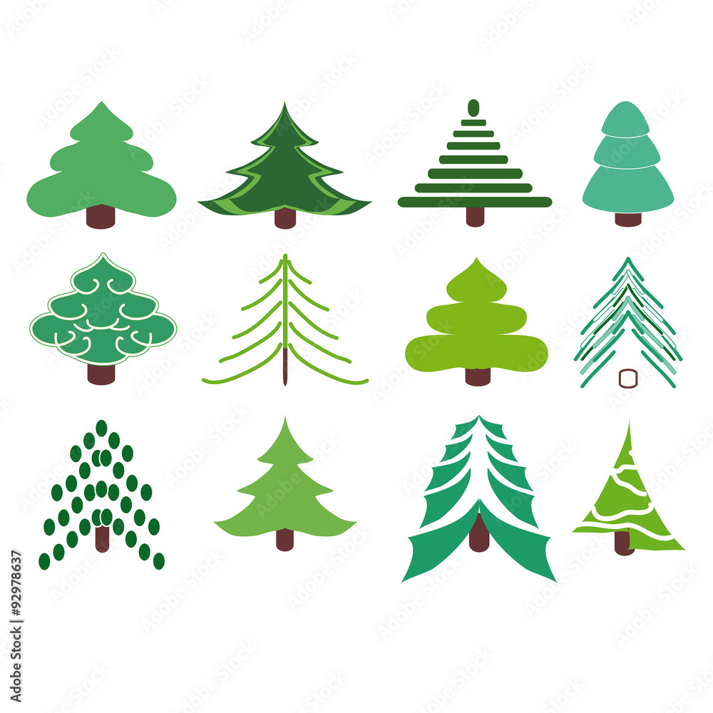 Collection of fir trees.