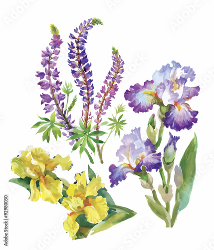 Floral background. Floral card. Watercolor floral bouquet