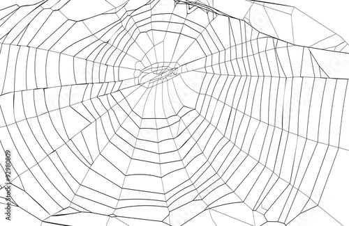 silhouette spiderweb