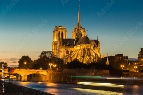 The cathedral Notre Dame at night , Paris, France.