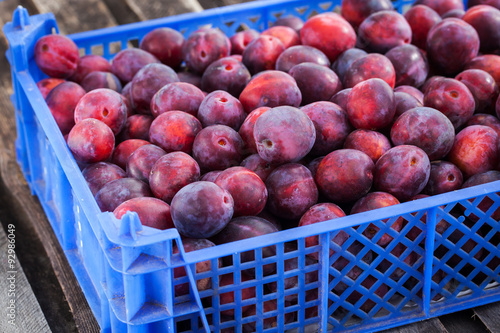 Obraz na płótnie Fresh ripe red plums