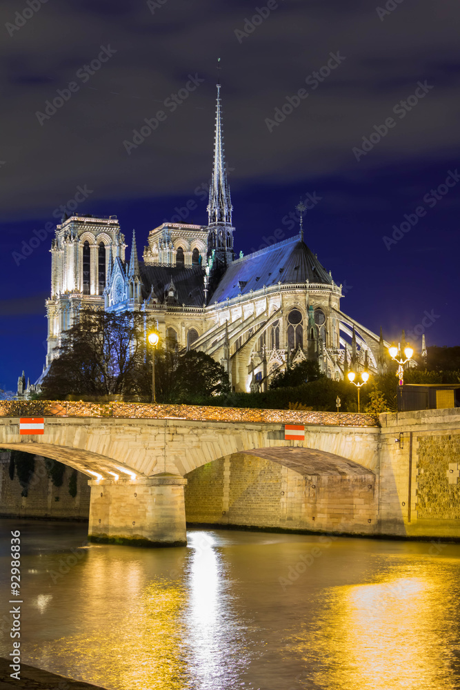 The cathedral Notre Dame at night , Paris, France.