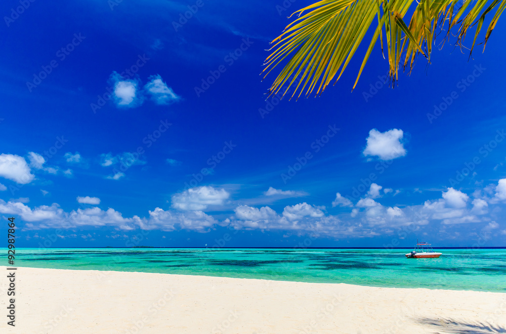 Fototapeta premium beach in Maldives