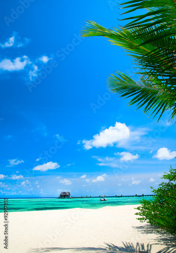 tropical beach in Maldives
