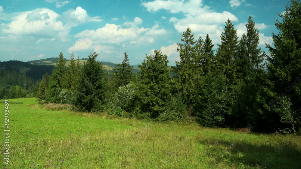 Time lapse of clouds and beautiful green trees Time lapse of clouds and beautiful green trees