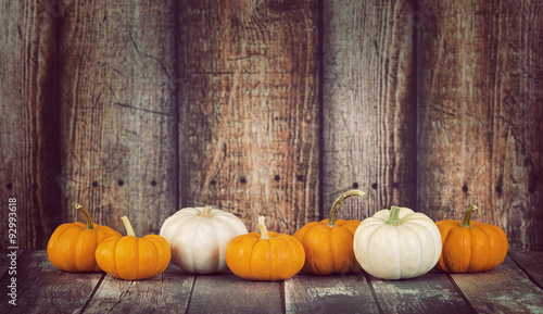Mini pumpkins in a row against rustic wooden background photo