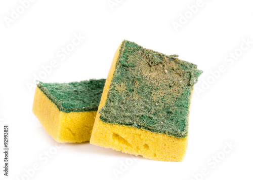 Old and Dirty Dish washing sponge