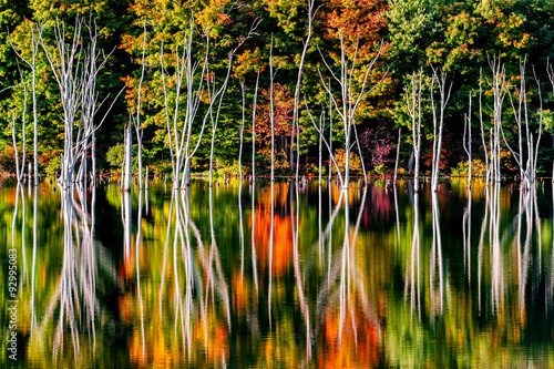 Fall reflections and a flooded forest at Monksville Reservoir, Hewitt, New Jersey, USA photo