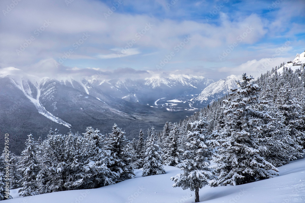 winter landscape of the Canadian Rockies, Banff, Canada