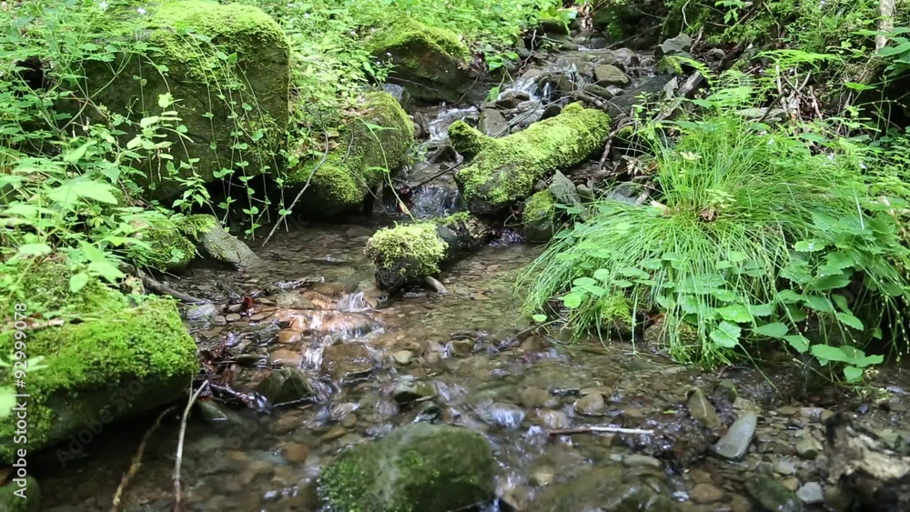 Beautiful brook Beautiful brook