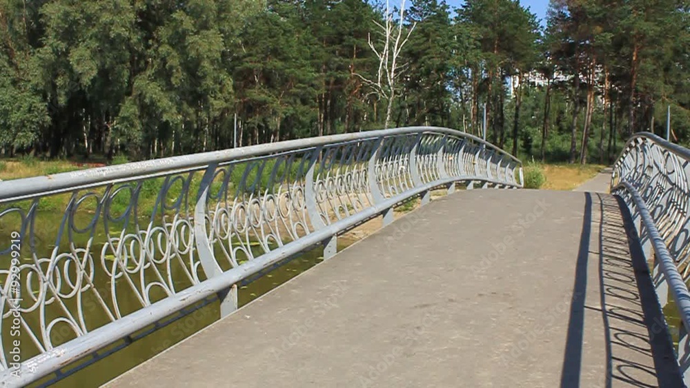 Foot bridge Foot bridge