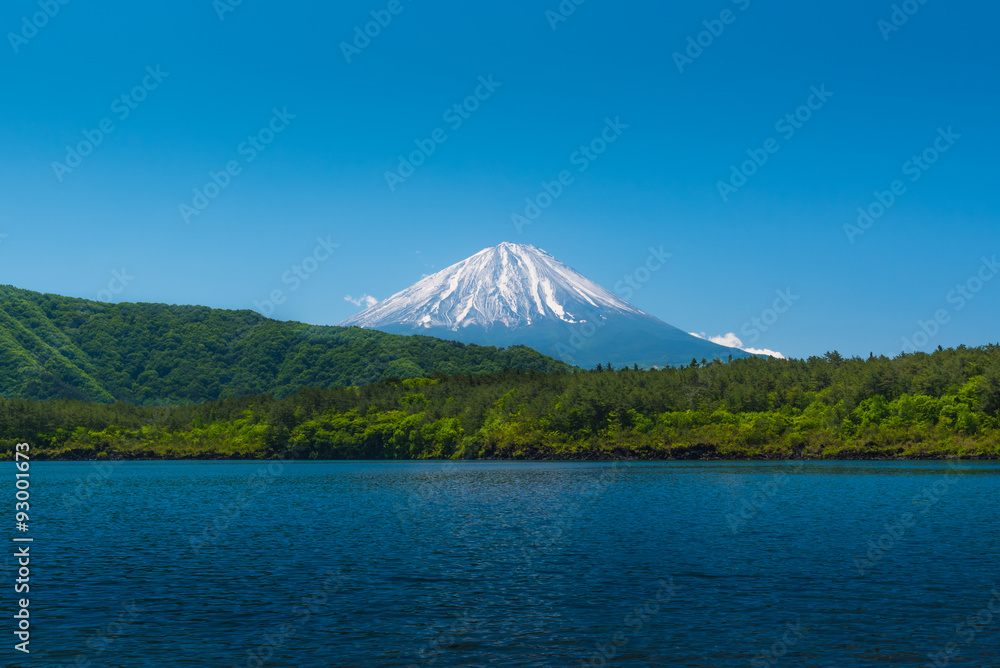 Mount Fuji behide the forest with blue lake