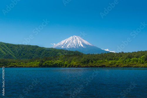 Mount Fuji behide the forest with blue lake