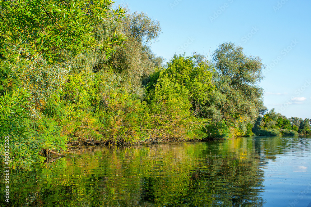 landscape image of a large river shore vegetation