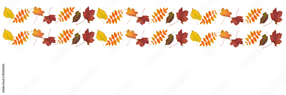 Obraz premium fallende Blätter, goldener Herbst, Laub