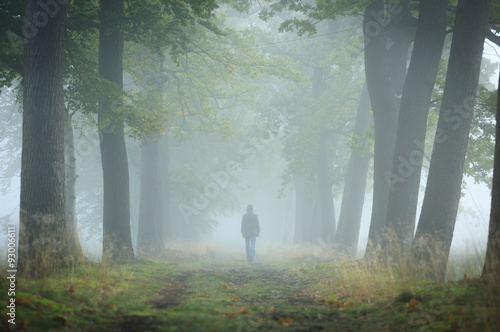 Obraz na plátně Man in hoodie walking alone in a lane on a foggy, autumn morning