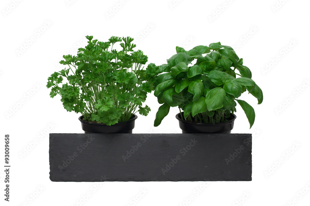 Fototapeta premium parsley, basil and a shale stone sign