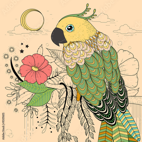 lovely parrot