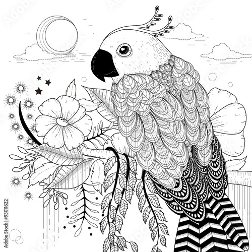 lovely parrot