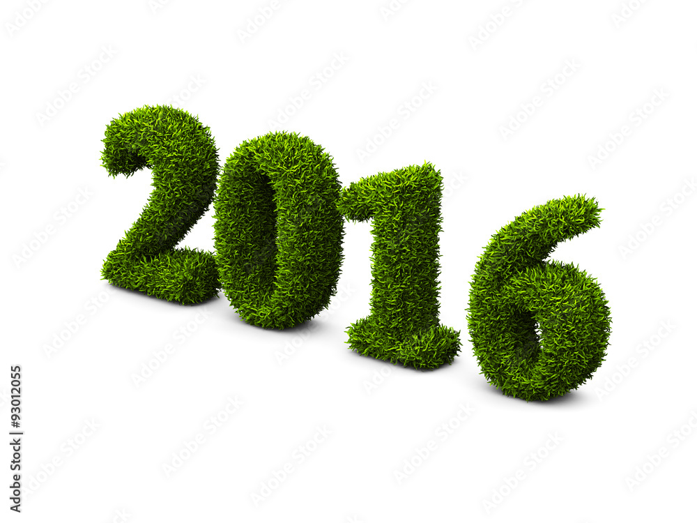 2016 new year grassed concept isolated on white background 2016 new year grassed concept isolated on white background