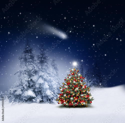 Geschmückter Tannenbaum im Winterwald
