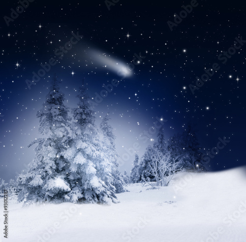 Winterwald mit Sternschnuppe